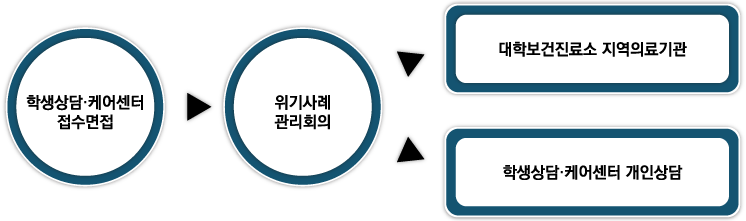 학생상담·케어센터 접수면접 위기사례 관리회의 대학보건진료소 지역의료기관 학생상담·케어센터 개인상담